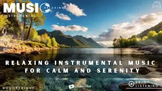 A Touch of Moonlight | Relaxing Instrumental Music for Calm and Serenity