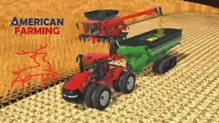 Finishing corn harvest on the Dairy Farm Series | American Farming 