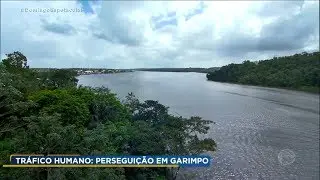 Brasileiros são traficados e escravizados em garimpos clandestinos da Guiana Francesa