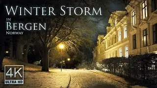 Winter Storm in Bergen - Icy Winds | Atmospheric 4K Walking Tour | Binaural Wind Sounds | Norway