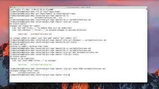 020 Reverting Changes From a Git Repository