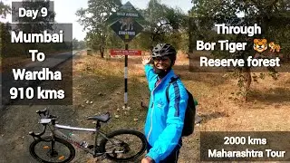 Велопробег по заповеднику Бор-Тигр | Из Мумбаи в Вардху на велосипеде | 900 км за 9 дней