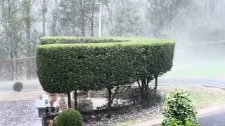 Hailing, Goodna, QLD Australia 