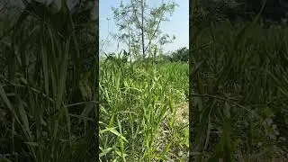 &hellip;..🌱🌱