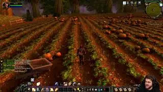 Farma - World of Warcraft Classic / 27.08.2019 (#8)