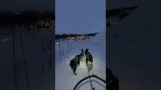 Dogsledding season is over for now💙