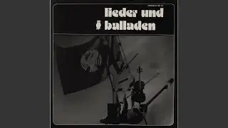 Vier bridder