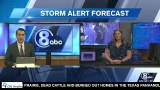 Horses in southeast Nebraska saved from auction block for now
