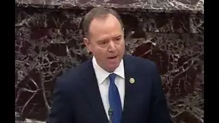 Schiff goes viral with MUST-SEE finale in Trump impeachment trial