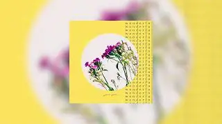Jamie Grace - Wonderful (Official Audio with Lyrics)