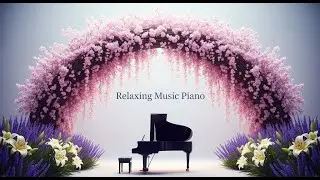 Relaxing Piano Music for Sleep and Mental Calm 🎧 Instrumental Piano Therapy