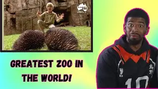 AMERICAN REACTS TO Robert Irwin's Australia Zoo Tour