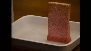 Sponge model of soil: capillary action, Part 2