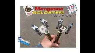 Mongoose gold stem restoration