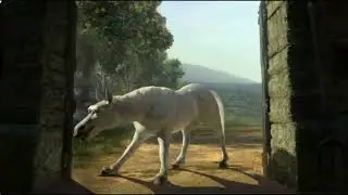 An Introduction to Horse Terms