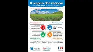 I Webinar - Aspetti psicologici e BPCO - N. Colecchia 'Aspettare, resistere o lottare?