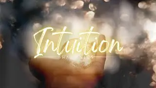 Shamanics | Intuition (a Terence McKenna Tribute Official Music Video)