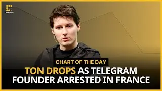 TON Slides 17% as Telegram CEO Pavel Durov Arrested in France | Chart of the Day