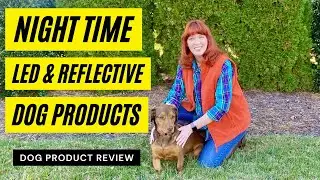 Must Have Dog Products for Dog Walking at Night