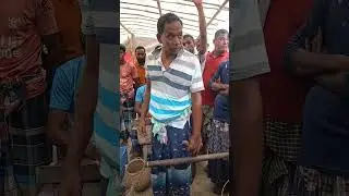 Big Catch of the Day | Real Village Fishing Life&rdquo;