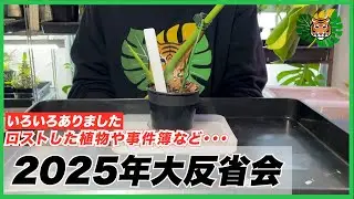 【シロウト園芸】2025年の反省会をしながらモンステラ8株の鉢増しとカット。ロスト報告、事件簿などなど