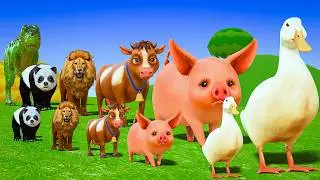 Long Slide Game with Colourful Duck Cow Tiger Gorilla Dog Elephant 3d Animal Game Funny 3d Animals