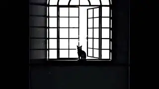 Jujutsu - Edit