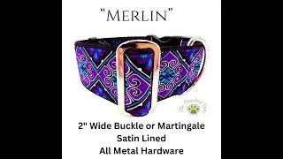 360 Degree View of Merlin our 2 inch Wide Buckle Dog Collar #Large and Giant Breed Dogs #short