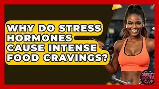 Why Do Stress Hormones Cause Intense Food Cravings? - Obesity Fighters Club