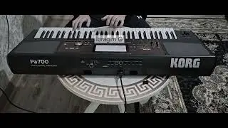 KORG PA 700