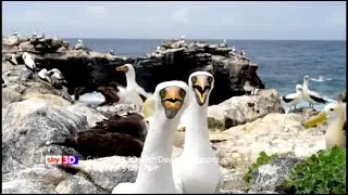 Galapagos 3D with David Attenborough Trailer (Sky 3D)