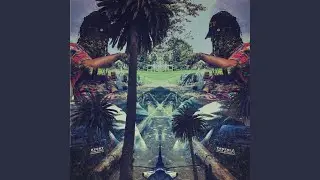 Trapn early