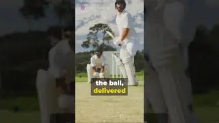 LBW கிரிக்கெட் விளையாட்டில் |  ஒரு சுருக்கம் 2023 11 20 #cricketfacts