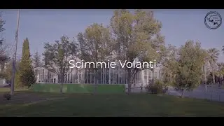 Scimmie Volanti Escuela de Circo Socioeducativo