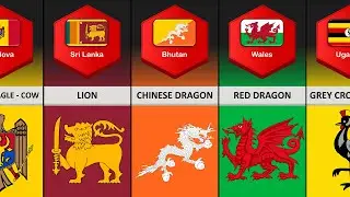 List of Country Flags That Feature Animals on Them