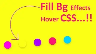 Fill background on hover effect css | button hover effect css | html css project | hover effect CSS