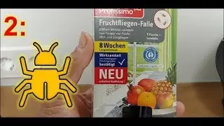 Test 👎: Frucht-Fliegen-Falle von Profissimo, Drogerie-Markt