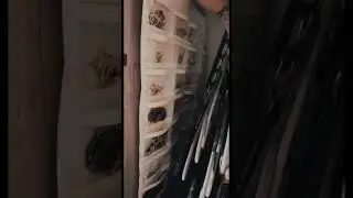 RV Storage Hacks Part 1! Downsizing Tips - DM me on IG for links #TimeWarpScan