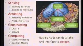 Computer Science and Engineering Distinguished Lecturer Series-Speaking the Language of Molecules