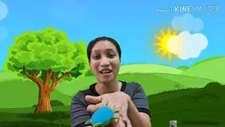N1 Home-Based Learning Activity (Story:There Was A Little Turtle)