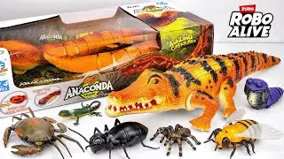 Ultimate ZURU Robo Alive Insects ASMR 🦎 Robo Huge Crocodile & RC Anaconda & Worm (No Talking)