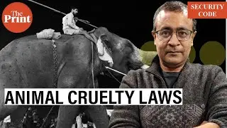 Animal cruelty needs more than tough laws, aggressive policing. Colonial-era battles show why