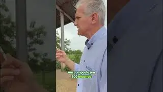 Ciclo da Fazenda: Bezerras, Reprodu&ccedil;&atilde;o e Preparo Contra Carrapatos! #shorts