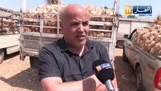عين تموشنت  بصل  ولهاصة   جودة في الإنتاج ينتظر التوسيم من الإتحاد الاوروبي
