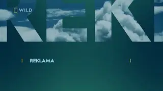 National Geographic Wild Poland - Continuity (October 26th, 2025)