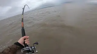 SEA FISHING WINTER RAYS! (PENARTH WALES BRISTOL CHANNEL)