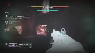 Destiny 2 - Sole Survivor Curated Drop