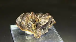 Minerals #746: Fluorite, Clay Center, Allen Township, Ottawa, Ohio, USA. クリスタル・ワールド. 2025.11.23.