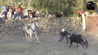 MERINO, CORTAZAR, GTO 04/ENE/2026 JARIPEO VOL 14