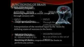 BLUE BRAIN